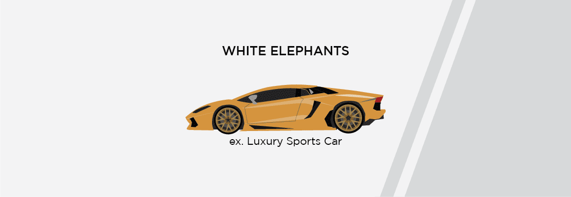 elephant_header